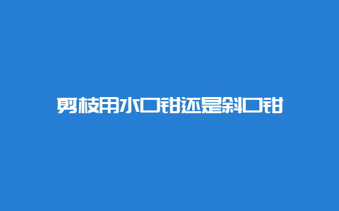 剪枝用水口钳照旧斜口钳__必博Bibo手艺_第1张