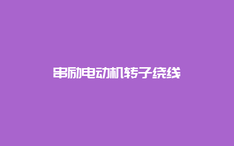 串励电念头转子绕线__必博Bibo手艺_第1张