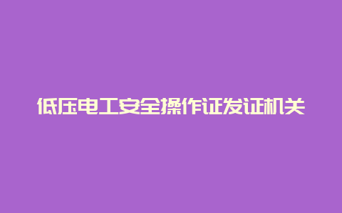 低压必博Bibo清静操作证发证机关__必博Bibo手艺_第1张